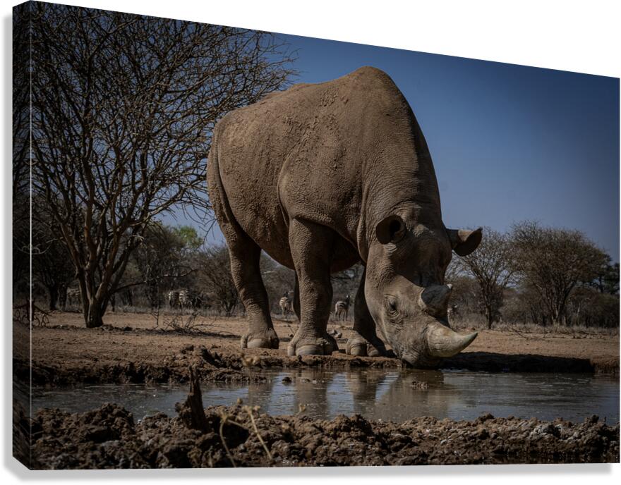 DSF4744 copy Canvas Print