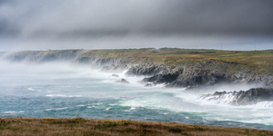 Cape Race Fog