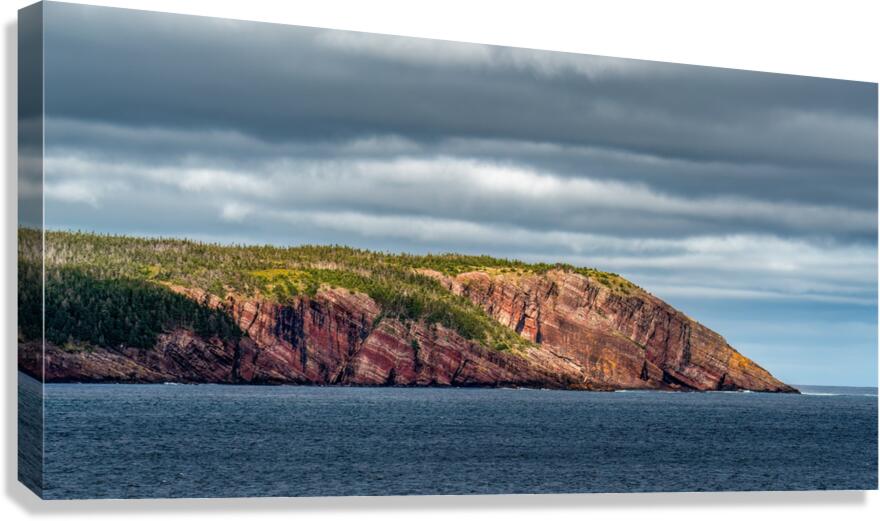 Witless Bay NL Canvas Print