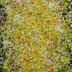  Bee Pollen