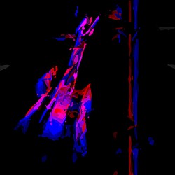 7 Magic guitar