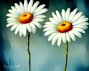 English Daisy