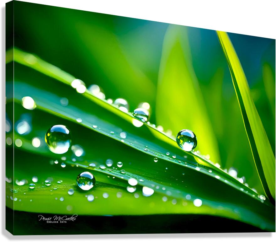 Dew Canvas Print