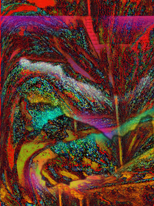 Fixation