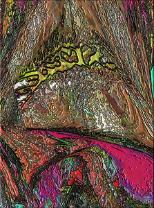 Bolwig