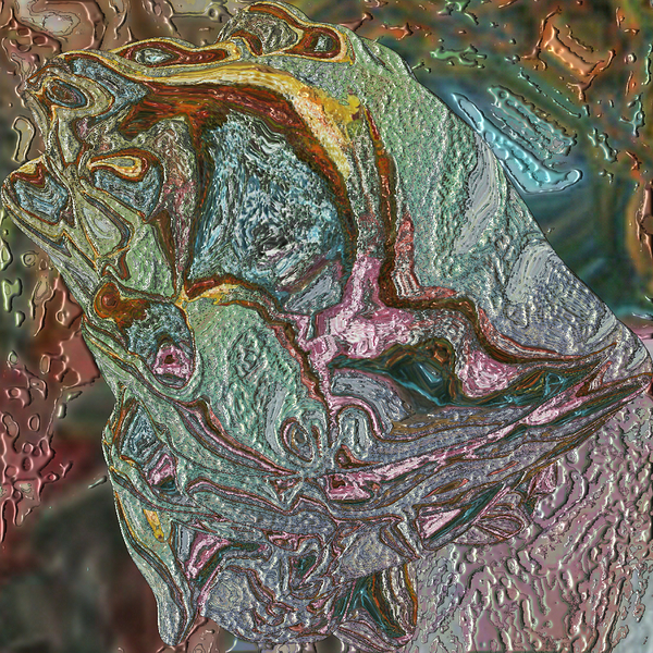 Dingula Print