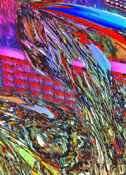 Escapi Print
