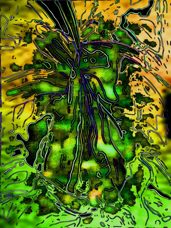 Falldari Print