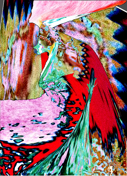 Biorda Print