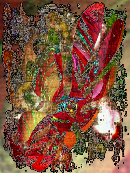 Blosit Print
