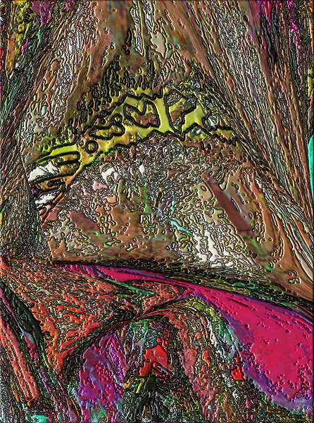 Bolwig Print