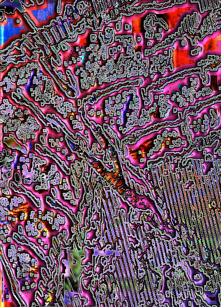 Longisa Print