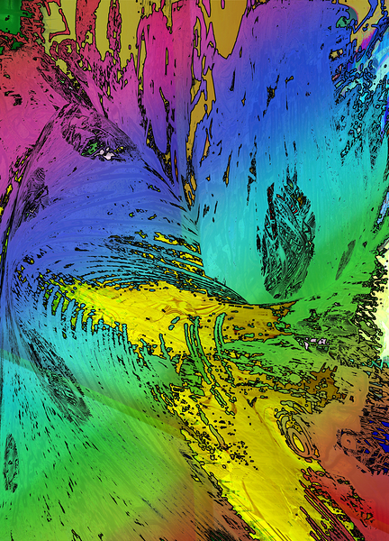 Paralost Print