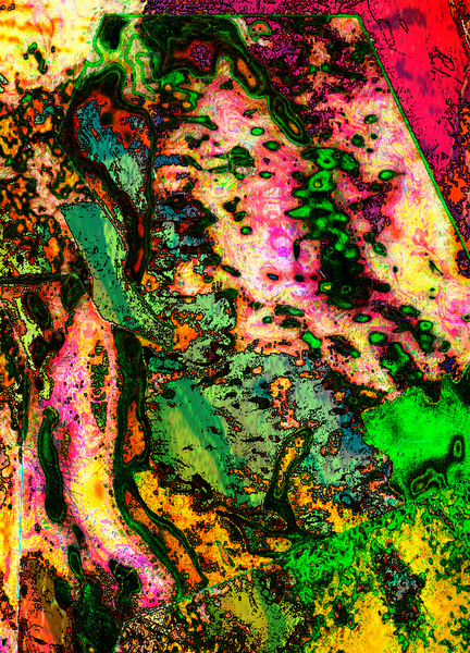 Portissa Print