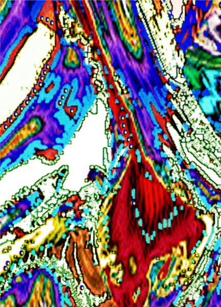 Trilala Print
