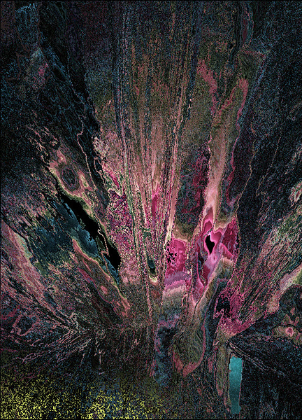 Xortis Print