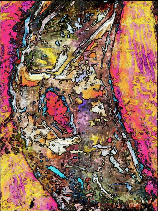 Solari Print