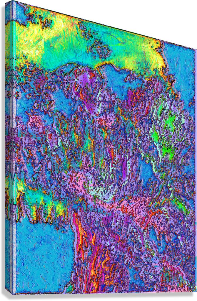 Zildia Canvas Print
