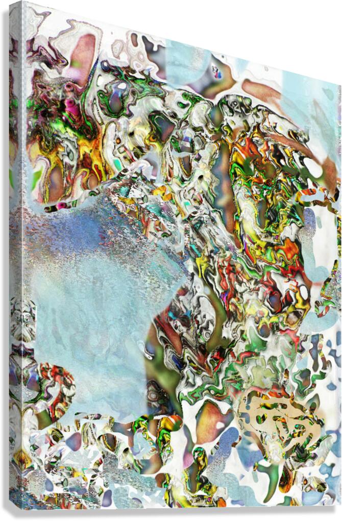Balldrios Canvas Print