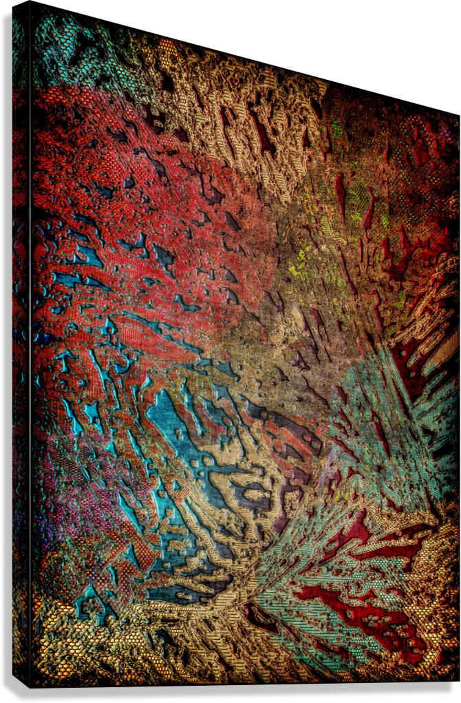 Dixto Canvas Print