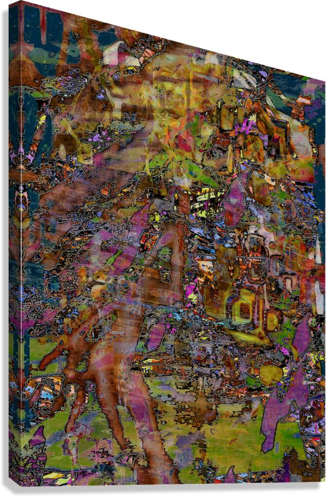 Tripolex Canvas Print