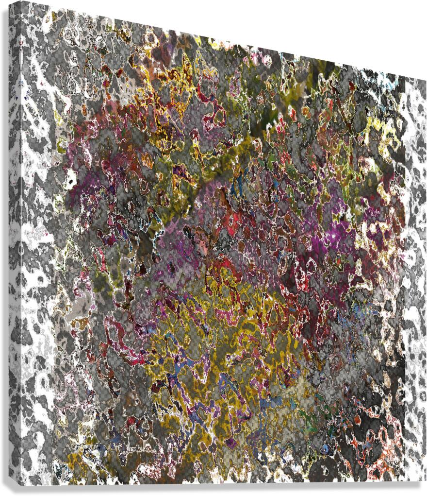 Plintonia Canvas Print