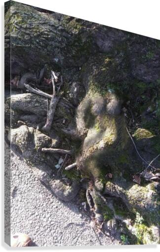Naturskulptur Canvas Print
