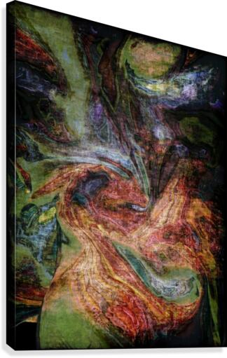 Layara Canvas Print