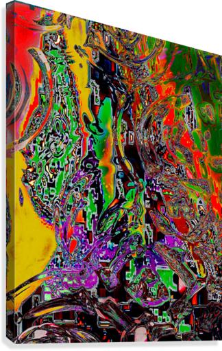 Dervi Canvas Print