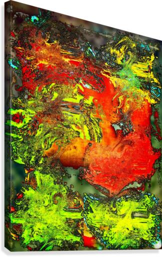 Zolti Canvas Print