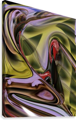 The vision Canvas Print