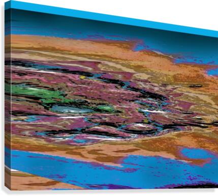 Marshland Canvas Print