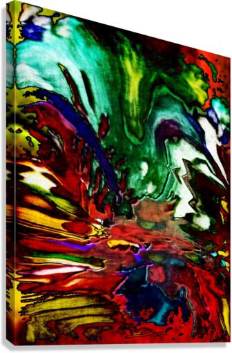 Stormy thoughts Canvas Print