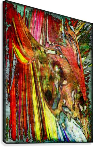 Fladius Canvas Print