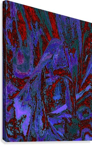 Mallada Canvas Print