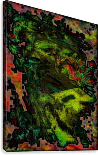 Dondro Canvas Print
