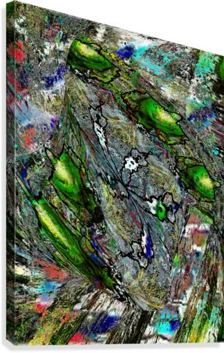 Draialai Canvas Print
