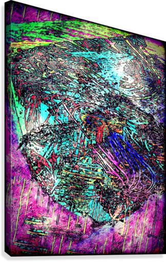 Dream weaver Canvas Print