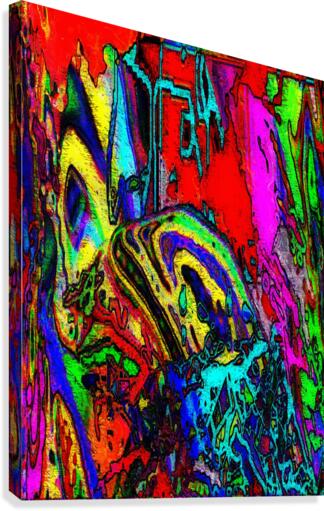 Xoidas Canvas Print