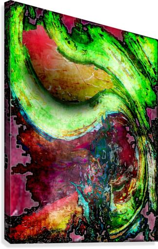Toxtia Canvas Print