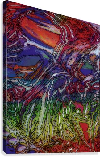 Trinadod Canvas Print