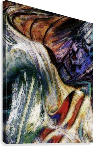 Twerdia Canvas Print