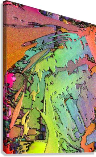 Windalo Canvas Print