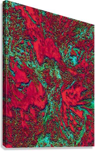 Porploi Canvas Print