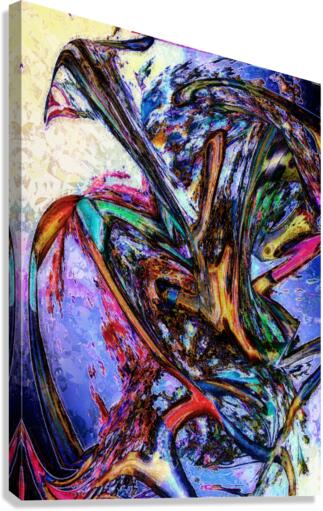 Maillado Canvas Print
