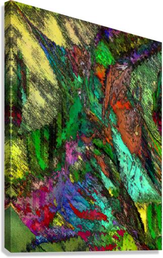 Findix Canvas Print