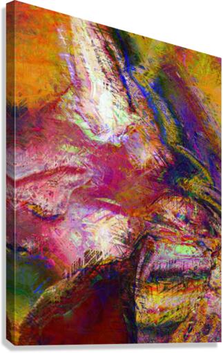 Bordas Canvas Print