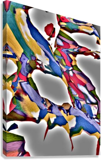 Zirkon Canvas Print