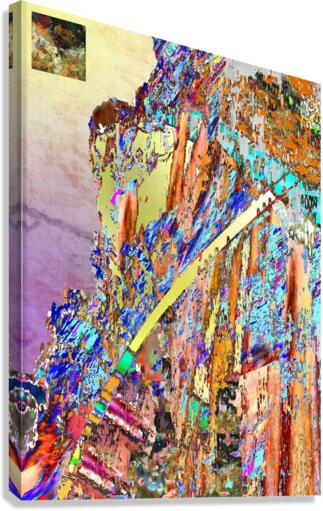 Plaquis Canvas Print