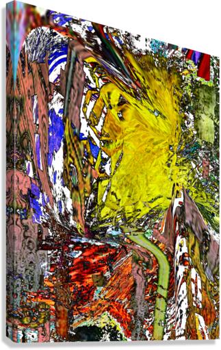 Kwadra Canvas Print